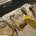 かなわ - 殻付き生牡蠣　広島の〝先端〟という種類
小粒だけど味が濃くて美味い！　◎◎