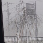 道の駅 錦秋湖 - 大雪