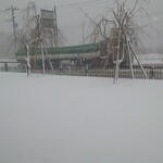 道の駅 錦秋湖 - 大雪