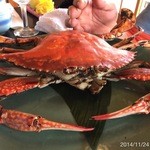 割烹旅館　志みず - 2014.11.24(月・祝)13時　昼飯1万円也(^o^)/　飲物別　焼渡り蟹と鯖が絶句！
      漬物、もろみアイスも絶品