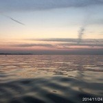 割烹旅館　志みず - 2014.11.24(月・祝)13時　昼飯1万円也(^o^)/　飲物別　焼渡り蟹と鯖が絶句！
      漬物、もろみアイスも絶品