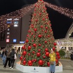 ぷらっとぴっと 7・8番ホーム - 駅前のクリスマスツリー。