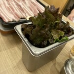 コリアンダイニングバー こちゅ - 