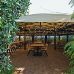 THE TABLE - 
