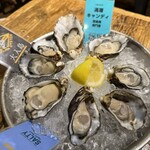 ソルティー オイスター ハウス - 