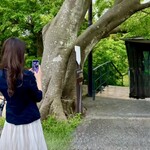 ハウス オブ フレーバーズ - 別の日にも