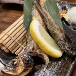 旬菜の味わい がら里 - 