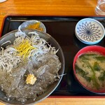 マイアミ貝新 - 