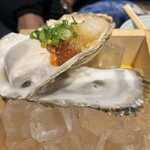 魚豪商 コダマ - 