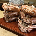 富小路 やま岸 - 