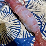 立食い寿司 根室花まる - ぼたん海老