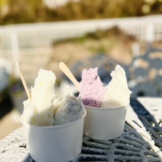 牛窓ジェラート工房 コピオ_1