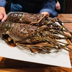 馳走西健一 - 【写真⑫】伊勢海老