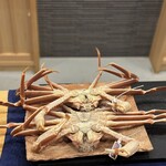 みつき - バリバリ活きてます！