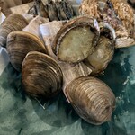 マグロ卸のフィッシャリーズテラス - 