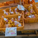 道の駅おおむた 花ぷらす館 - 