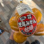 道の駅おおむた 花ぷらす館 - 