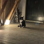 生で食べれるジンギスカン 頂 - 