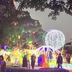 とり酒場 博多華善 - ドリミネーション①