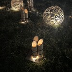 とり酒場 博多華善 - なぎやなイルミネーションもいいけどこの感じが落ち着くな〜