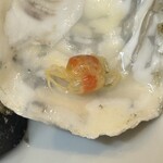 牡蠣海鮮酒場 シーサイドクラブ - カニさん発見！(ﾟoﾟ;;