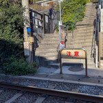 アマルフィイ デラセーラ - 