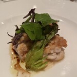 クラリタ ダ マリッティマ - 