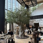 ジャヌ メルカート - 