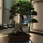 ジャヌ ラウンジ&ガーデンテラス - 