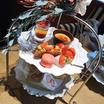 PATISSERIE TOOTH TOOTH - 