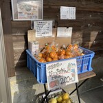 福浦漁港 みなと食堂 - 