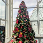 テイルウィンド - 