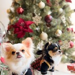 cafe & wine bar Noble One - 