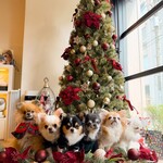 cafe & wine bar Noble One - 