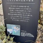 チーズガーデン 那須本店 - 