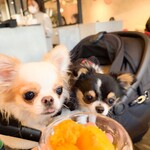 & OIMO TOKYO CAFE 中目黒店 - 