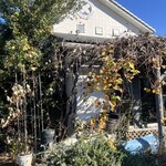 リストランテ シミズ - 