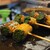 やき鳥 卍郎 - 料理写真: