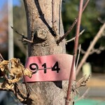 インデアンレストラン  ニューミラ - 