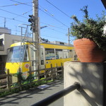 ピッツェリア トニーノ - 世田谷線を観ながらのランチです