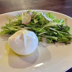 hectopascal - 旬の野菜を使ったサラダとブッラータ