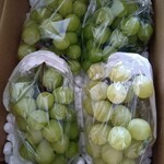 山下屋荘介 - シャインマスカット　1