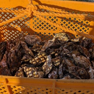 まえじま牡蠣小屋_0