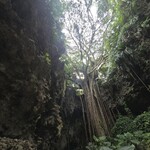 ガンガラーの谷　ケイブカフェ - 