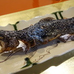 わらび野 - 岩魚