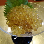 わらび野 - 岩魚の卵と刺身のカクテル