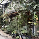 CLAMP COFFEE SARASA - 