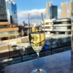 XIRINGUITO Escriba - カヴァ