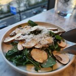 XIRINGUITO Escriba - 