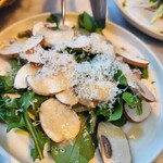 XIRINGUITO Escriba - 